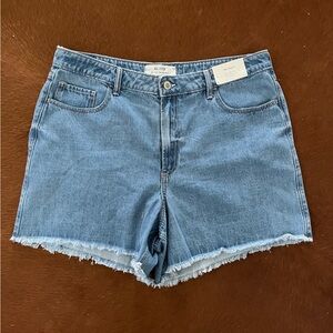 NWT Hollister Women's Denim Shorts